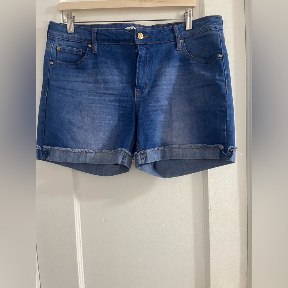 Celebrity Pink Jean Shorts